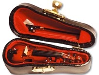 Violin in case medium